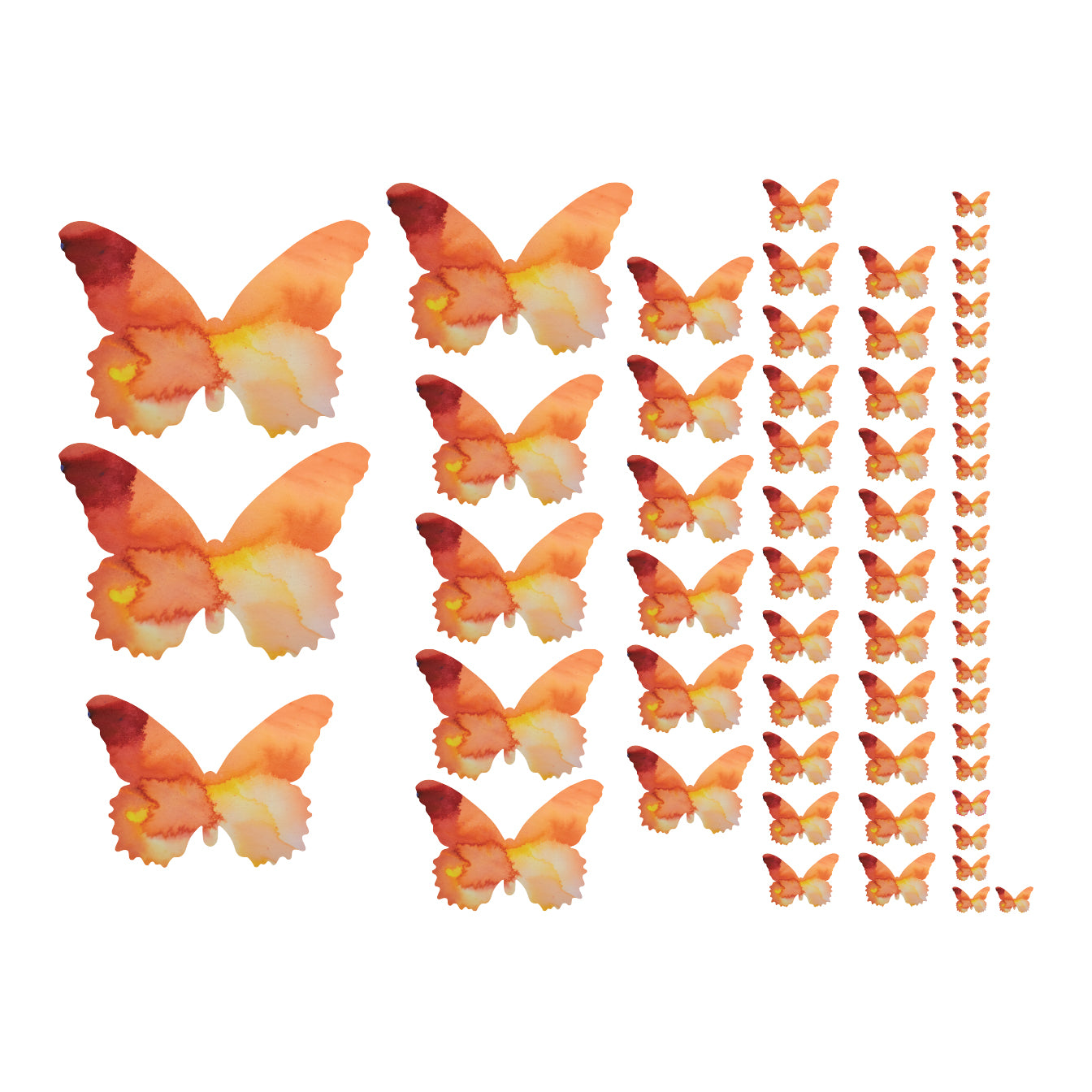 Orange Butterfly Decal Set