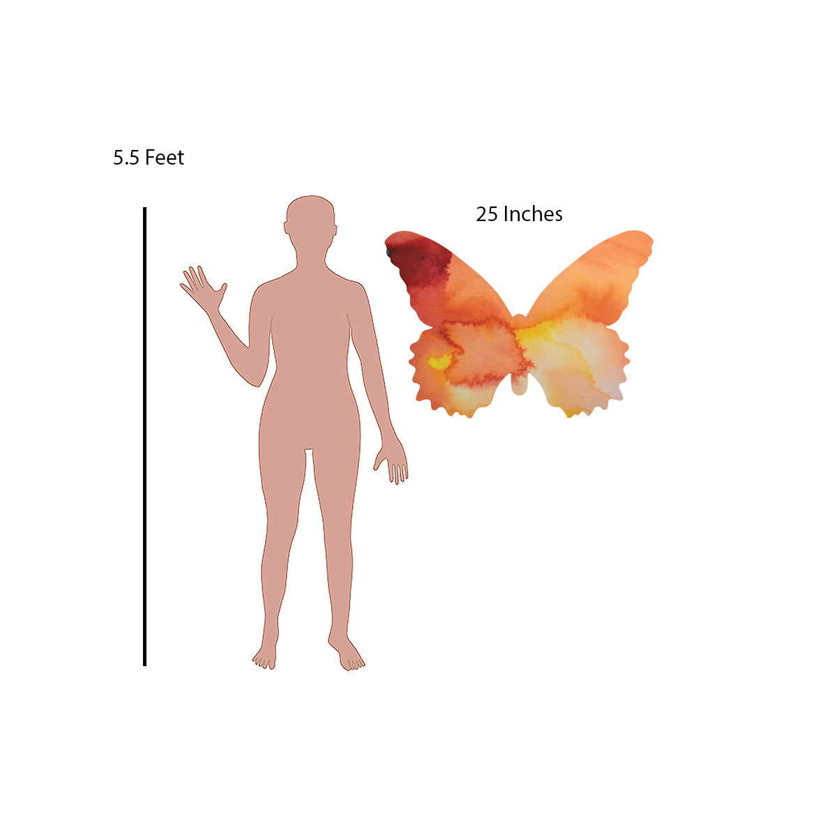 Orange Butterfly Decal Set