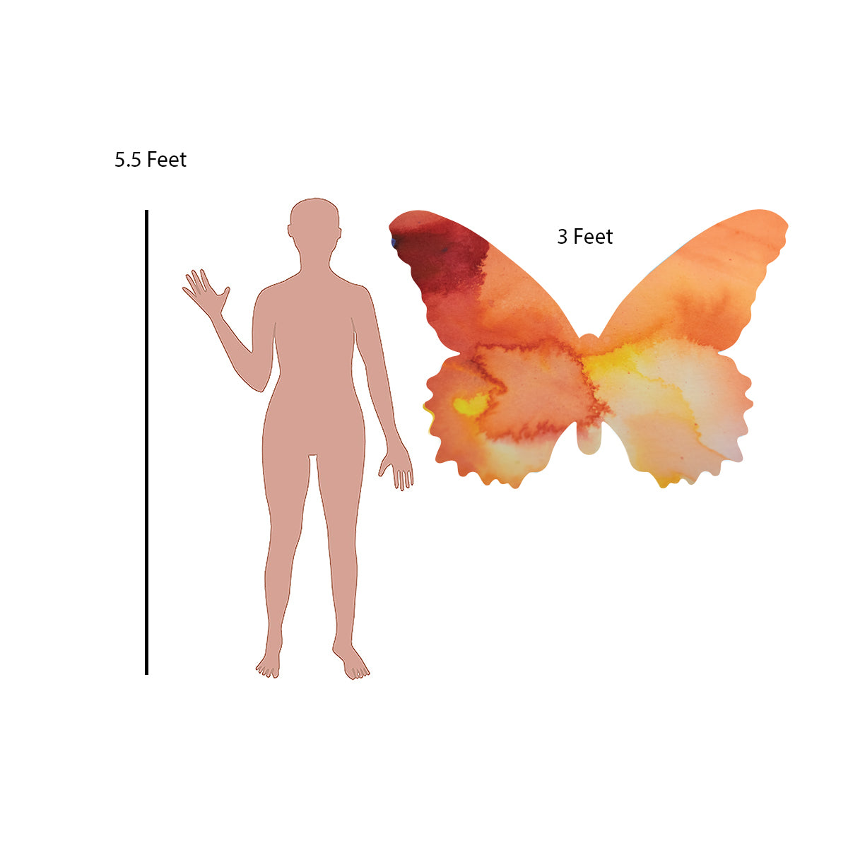 Orange Butterfly Decal Set