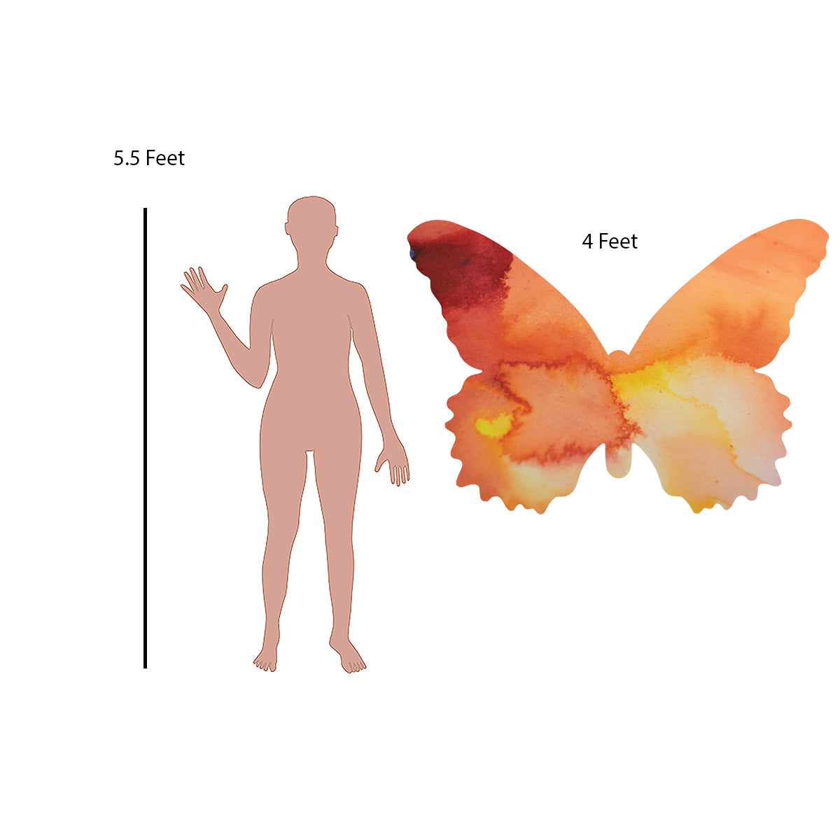 Orange Butterfly Decal Set