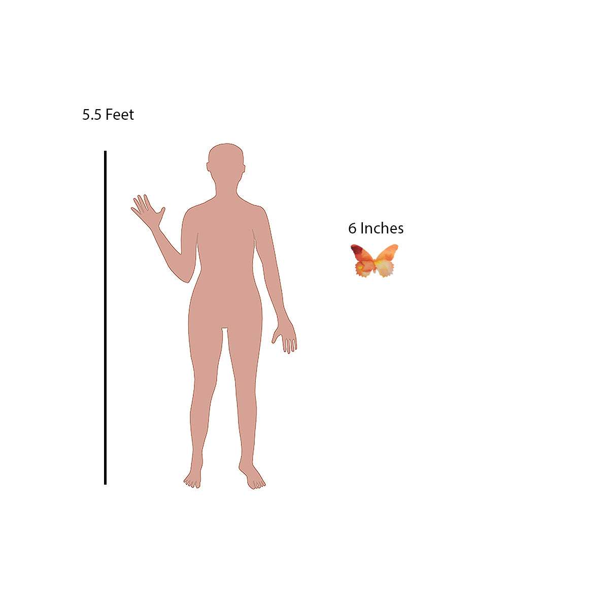 Orange Butterfly Decal Set