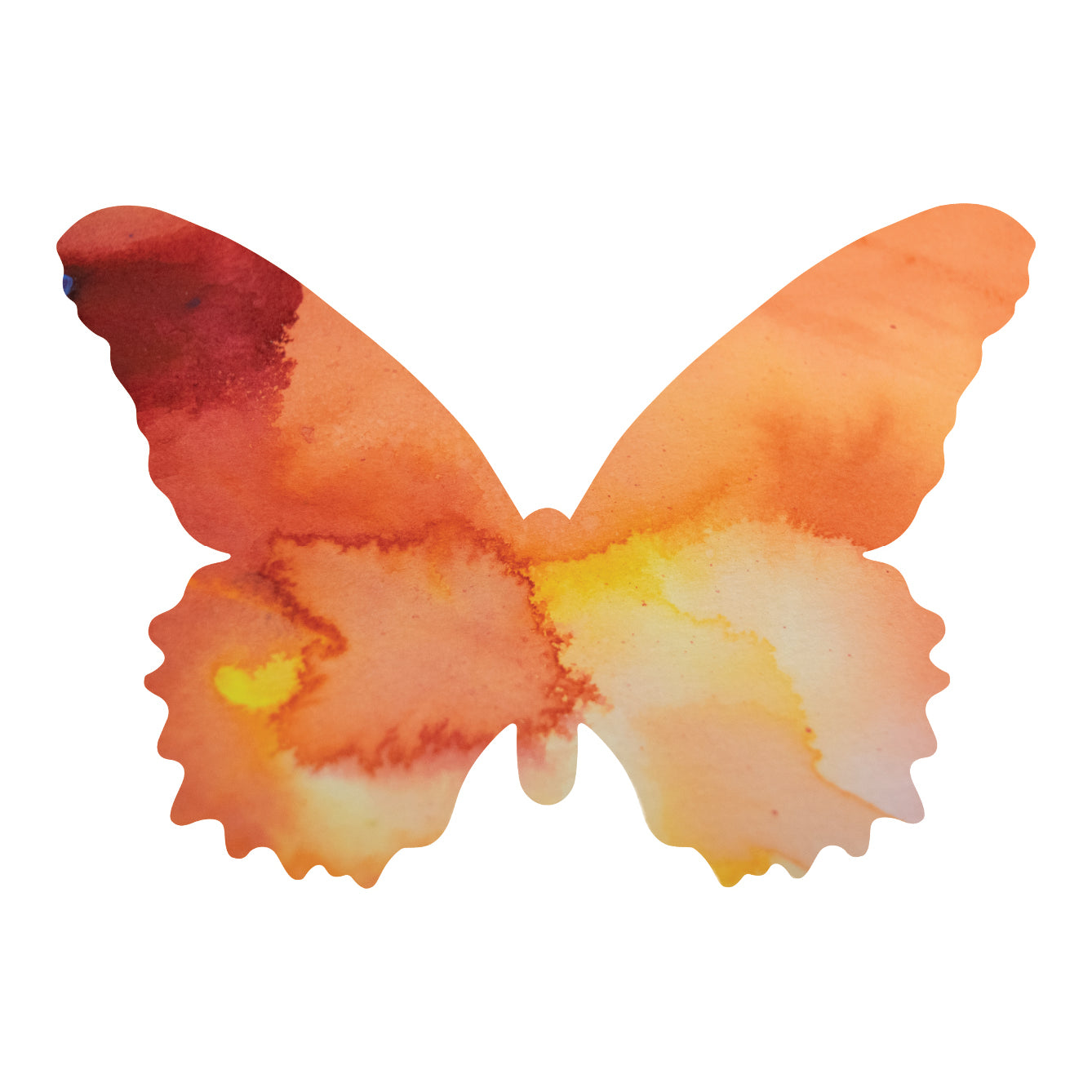 Orange Butterfly Decal Set